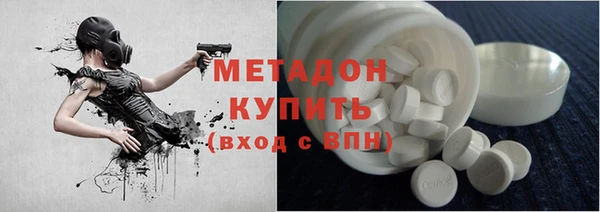прущие грибы Алексеевка