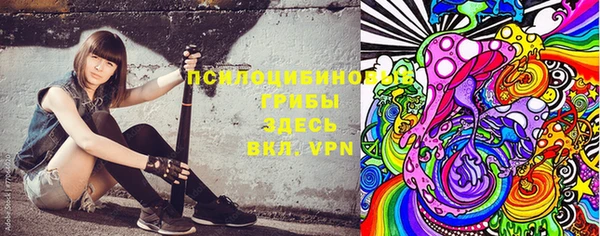 прущие грибы Алексеевка